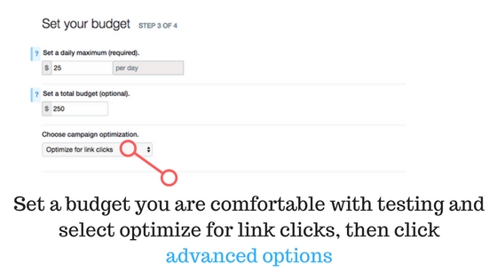 promoted tweets budget